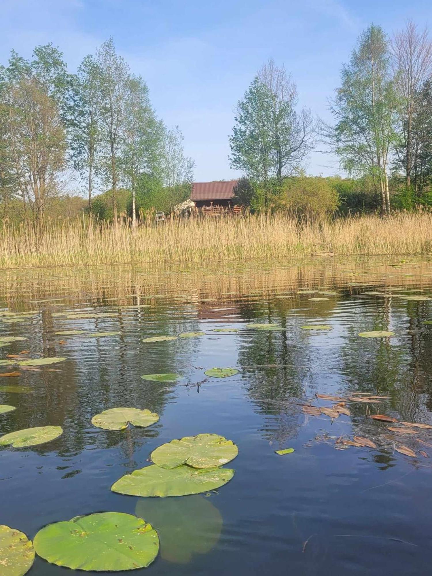 Drewniany Domek Zurawi Trakt Zabrsko Dolne ภายนอก รูปภาพ